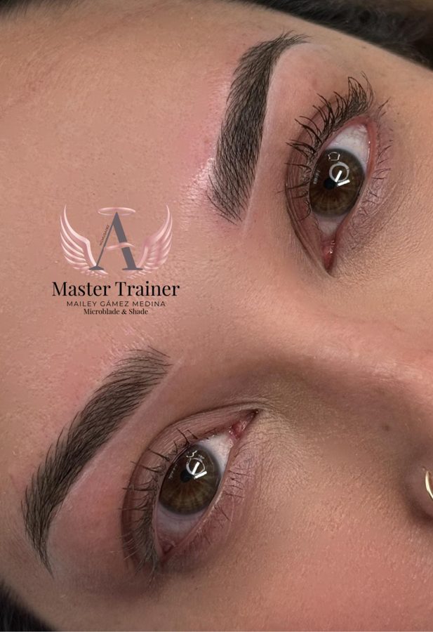 Micropigmentación de cejas — Ley's Beauty