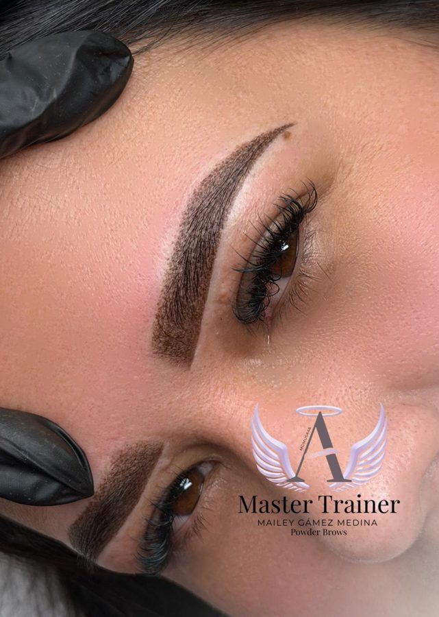 Micropigmentación de cejas — Ley's Beauty