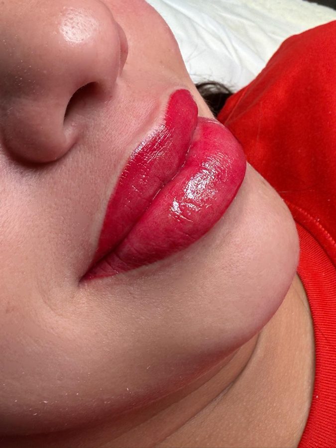 Color de labios — Ley's Beauty